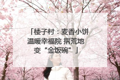 楼子村：麦香小饼温暖幸福院 撂荒地变“金饭碗”
